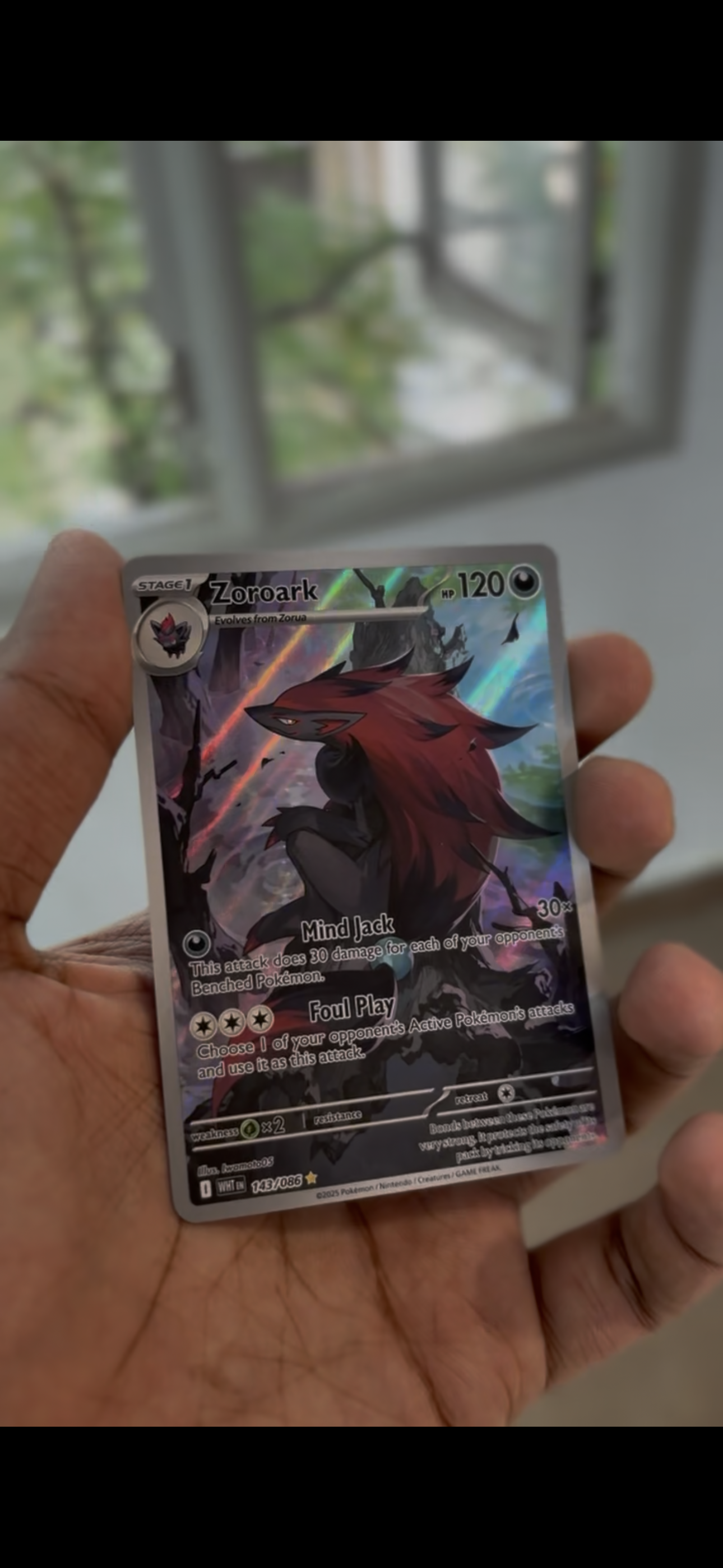 Zoroark Illustration rare (English)