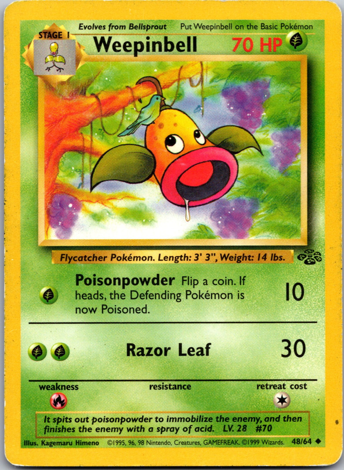 1999 Jungle 48/64 Weepinbell F HP Z334