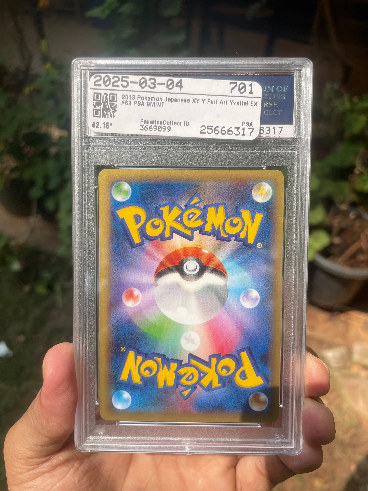 (PSA 9) 2013 Collection Y 63 Yveltal EX (JP)