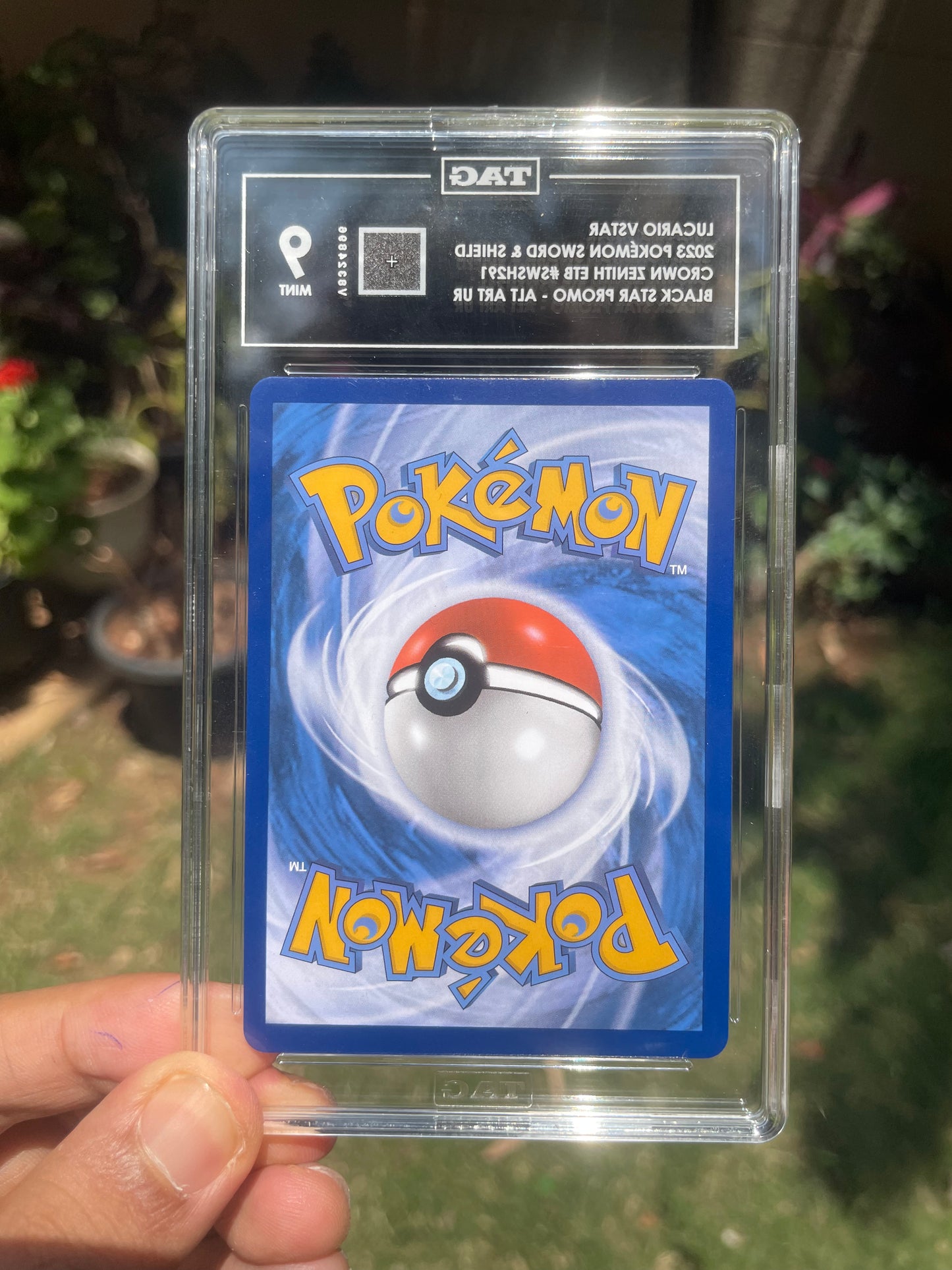 (TAG 9) 2023 Promo SWSH291 Lucario VSTAR