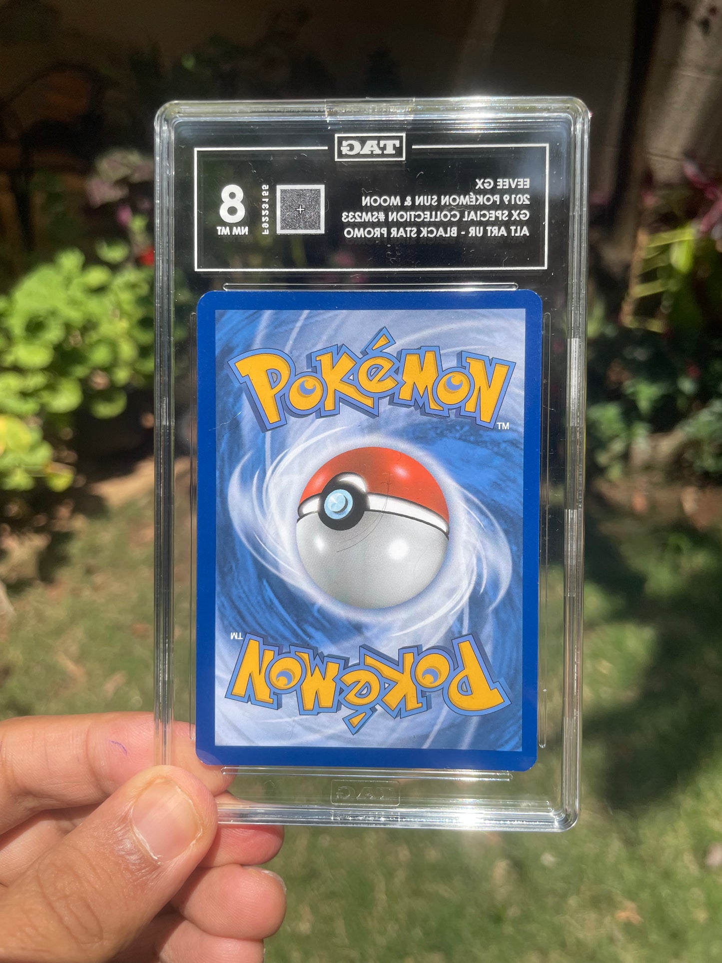 (TAG 8) 2019 Promo SM233 Eevee GX