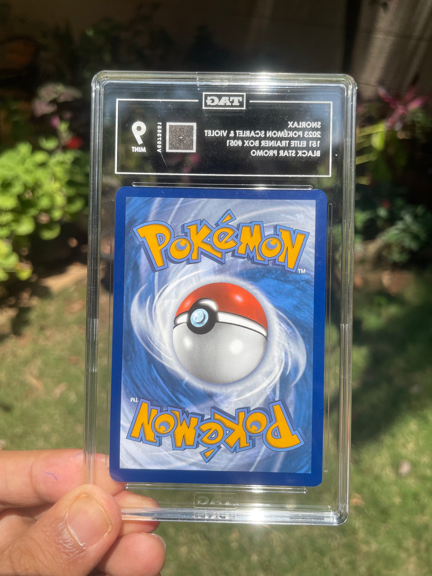 (TAG 9) 2023 Promo SV51 Snorlax