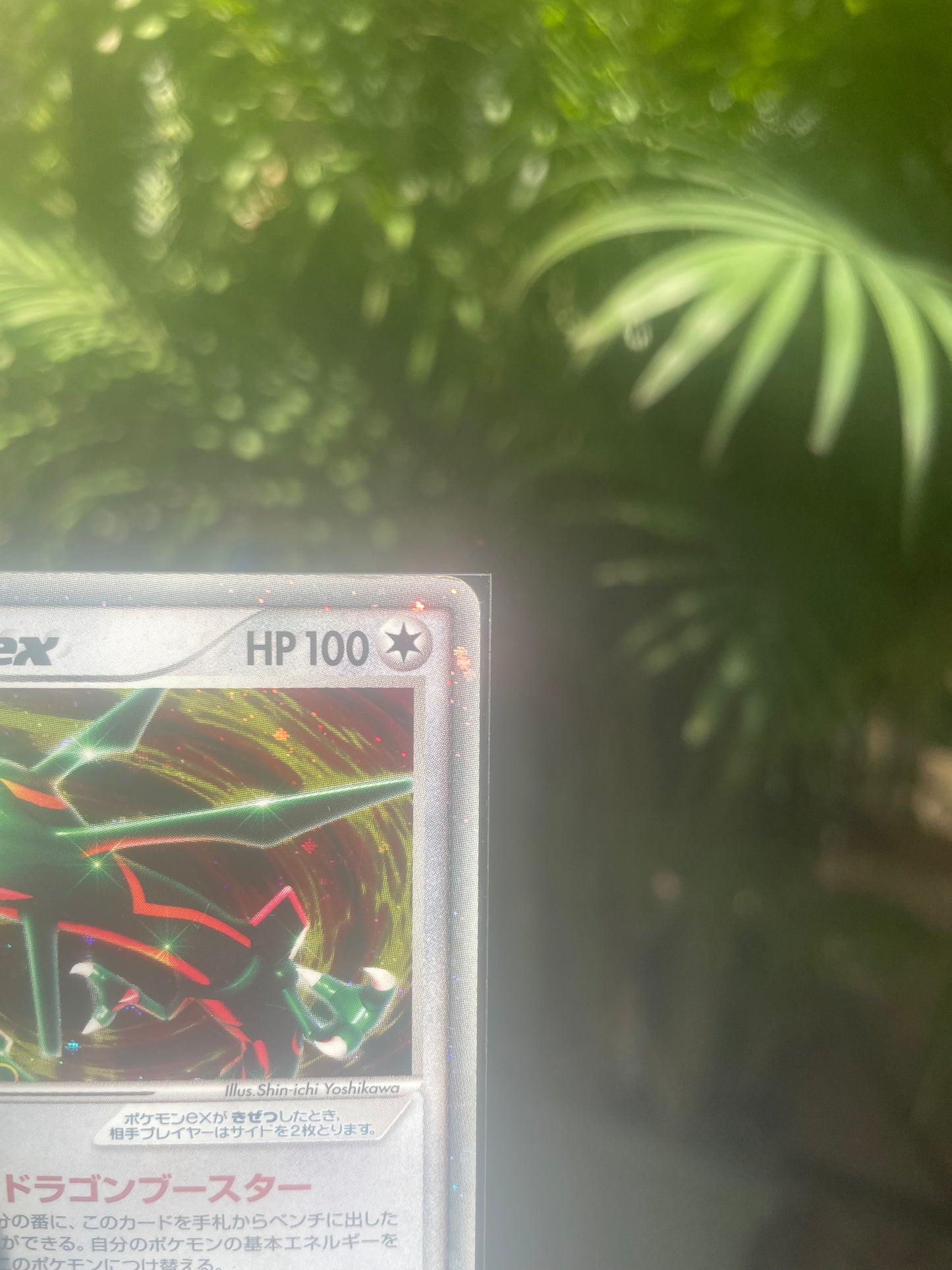 2005 Master Kit 003 Rayquaza ex (JP) MP