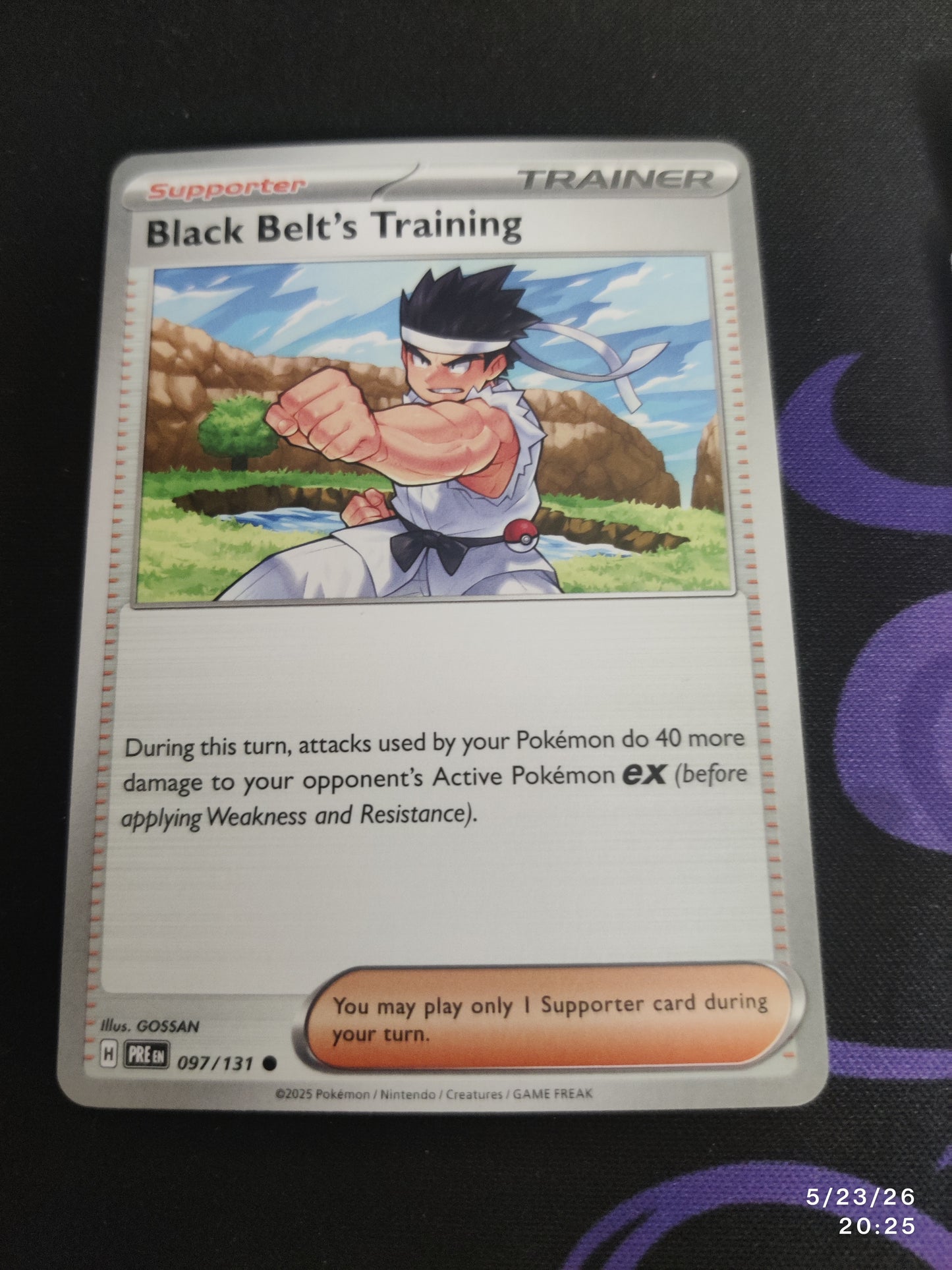 Black belt's training