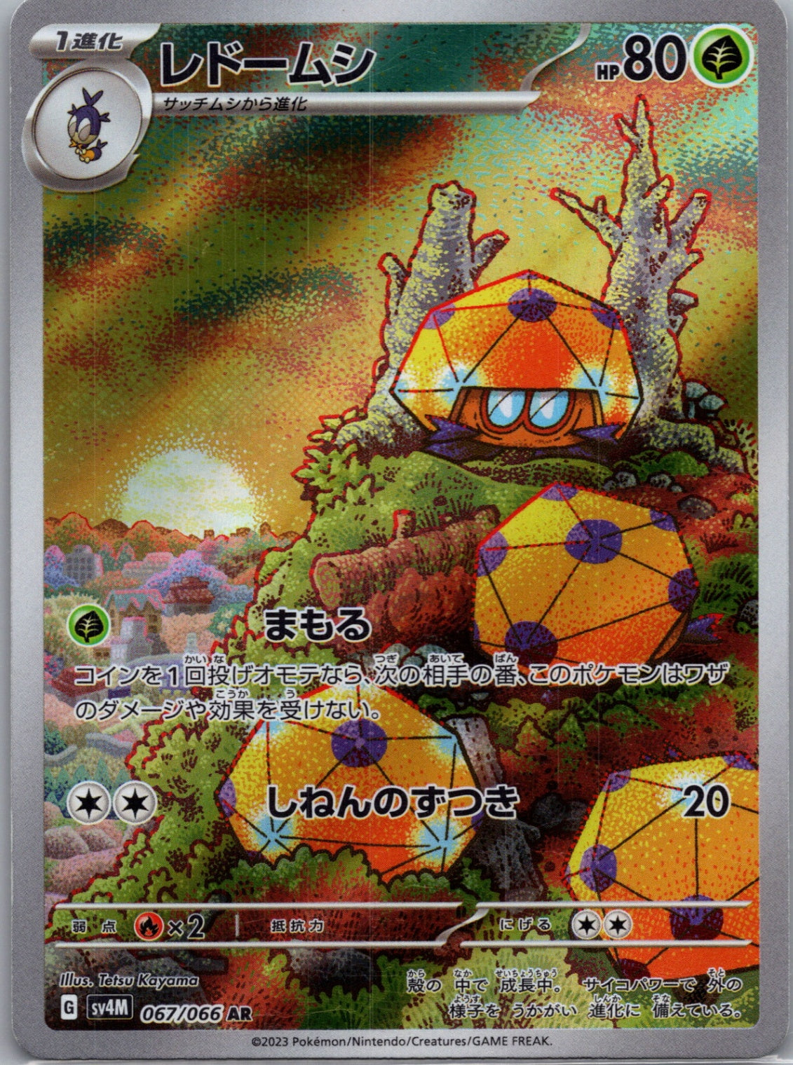 2023 Future Flash 67/66 Dottler (JP) D195