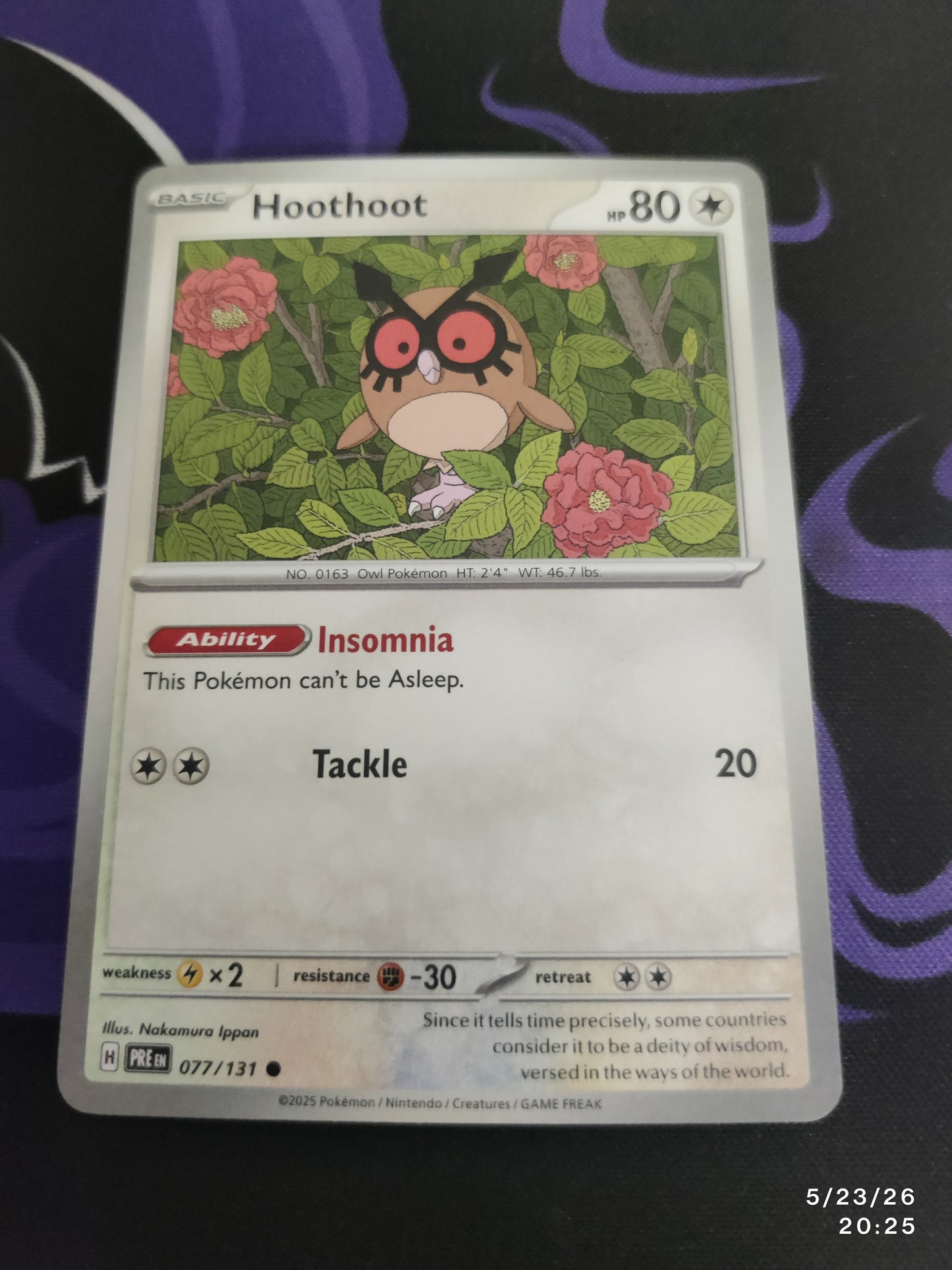 Hoothoot