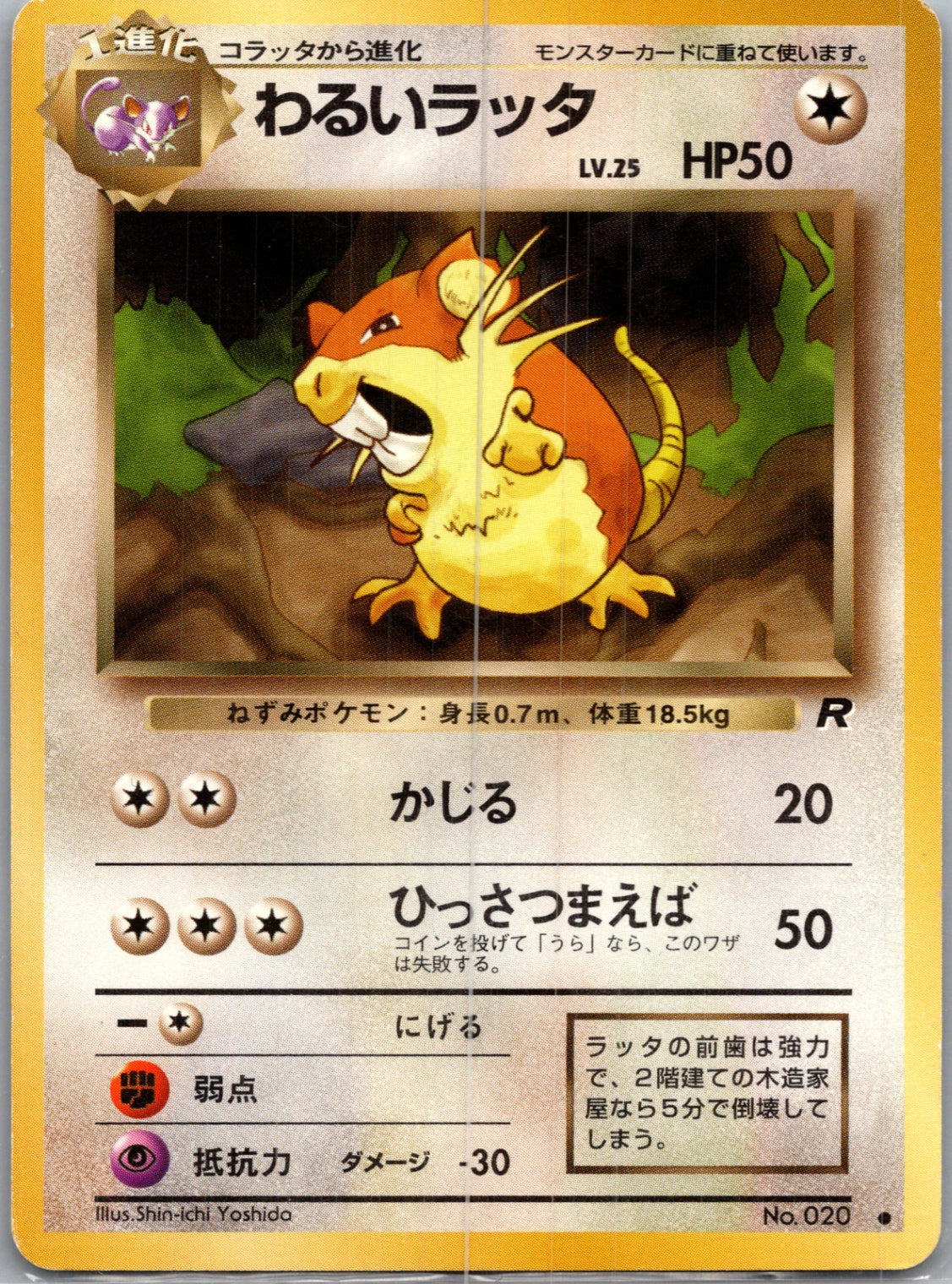 1997 Rocket Gang  Dark Raticate Common  (JP) J356