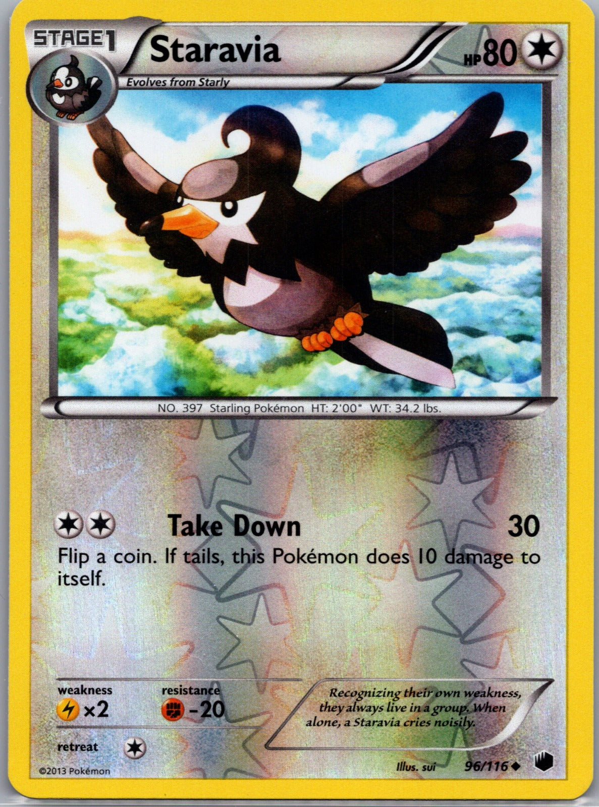 2013 Plasma Freeze 96/116 Staravia LP