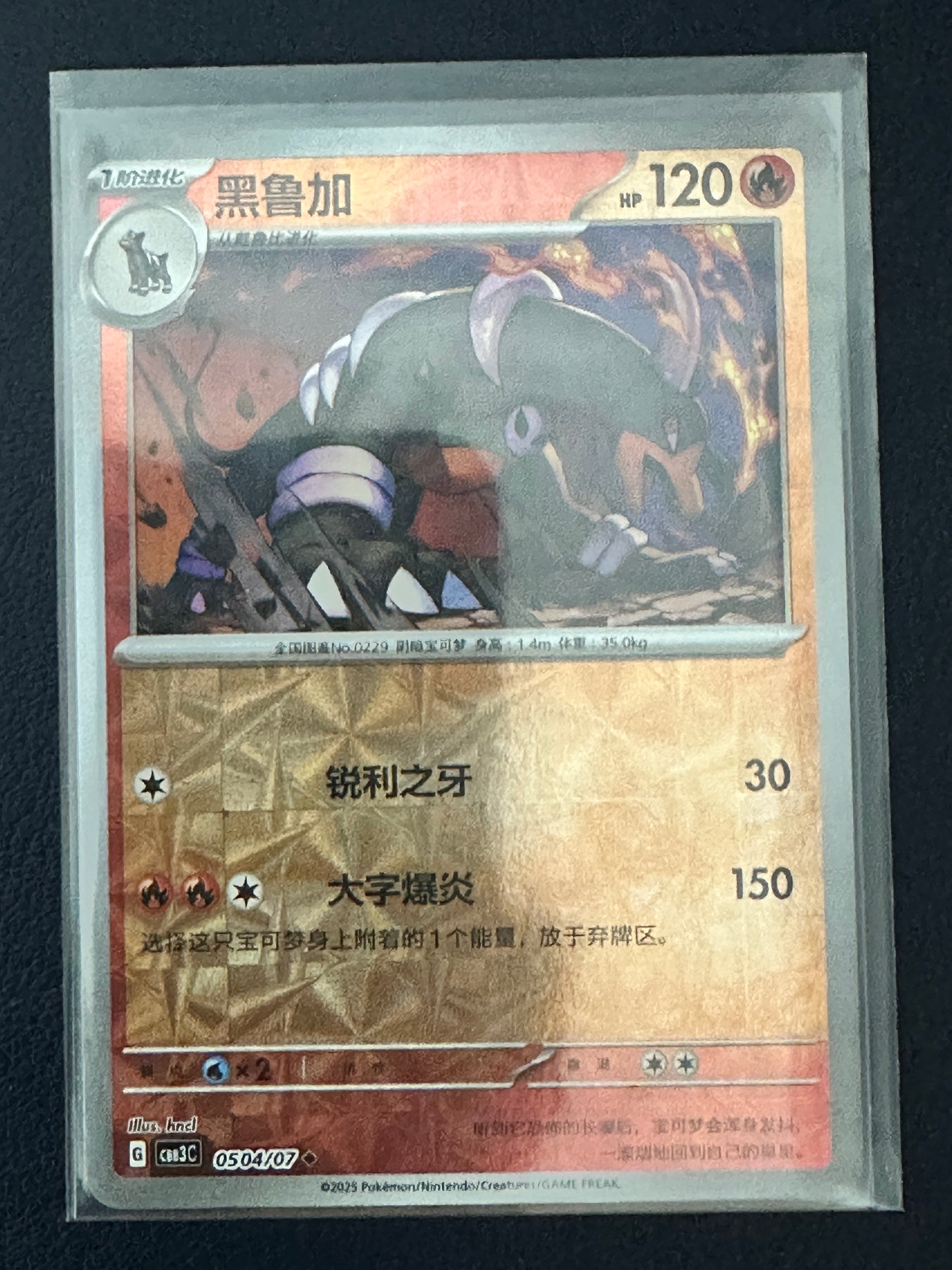 Houndoom [Rotary] #504