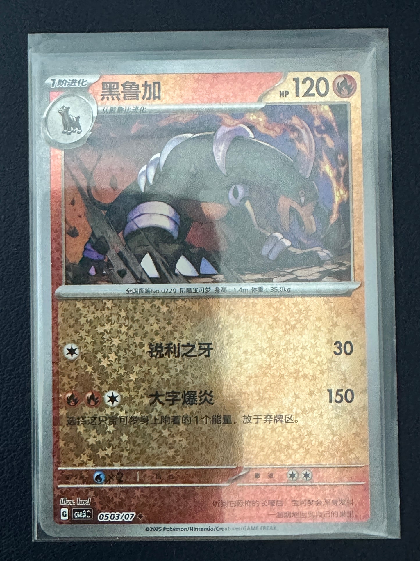 Houndoom [Stars] #503