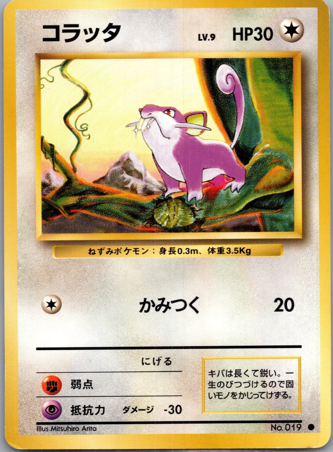 1996 Expansion Pack  Rattata Common  (JP) J77