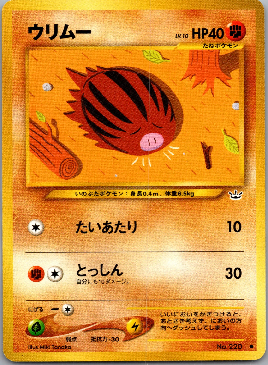 2000 Awakening Legends Swinub Common (JP) M12