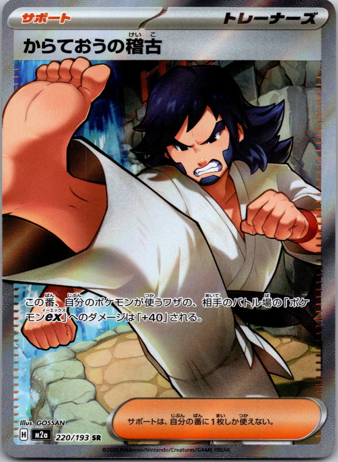 2025 M2a: High Class Pack: MEGA Dream ex 220/193 Black Belt's Training LP