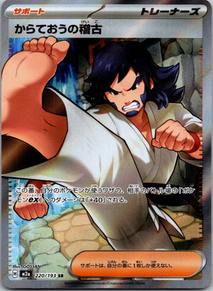 2025 M2a: High Class Pack: MEGA Dream ex 220/193 Black Belt's Training LP
