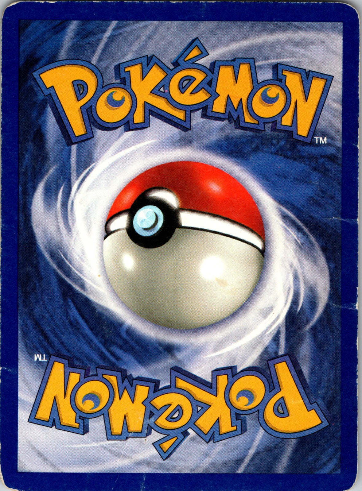 1999 Fossil 52/62 Omanyte HP E91