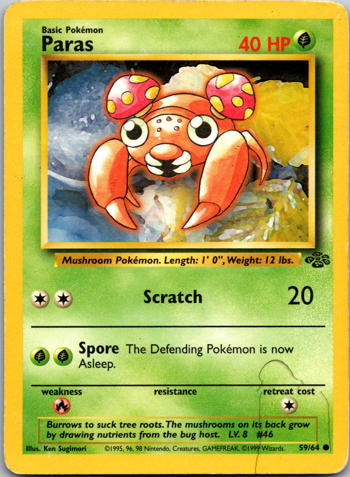 1999 Jungle 59/64 Paras HP Y54