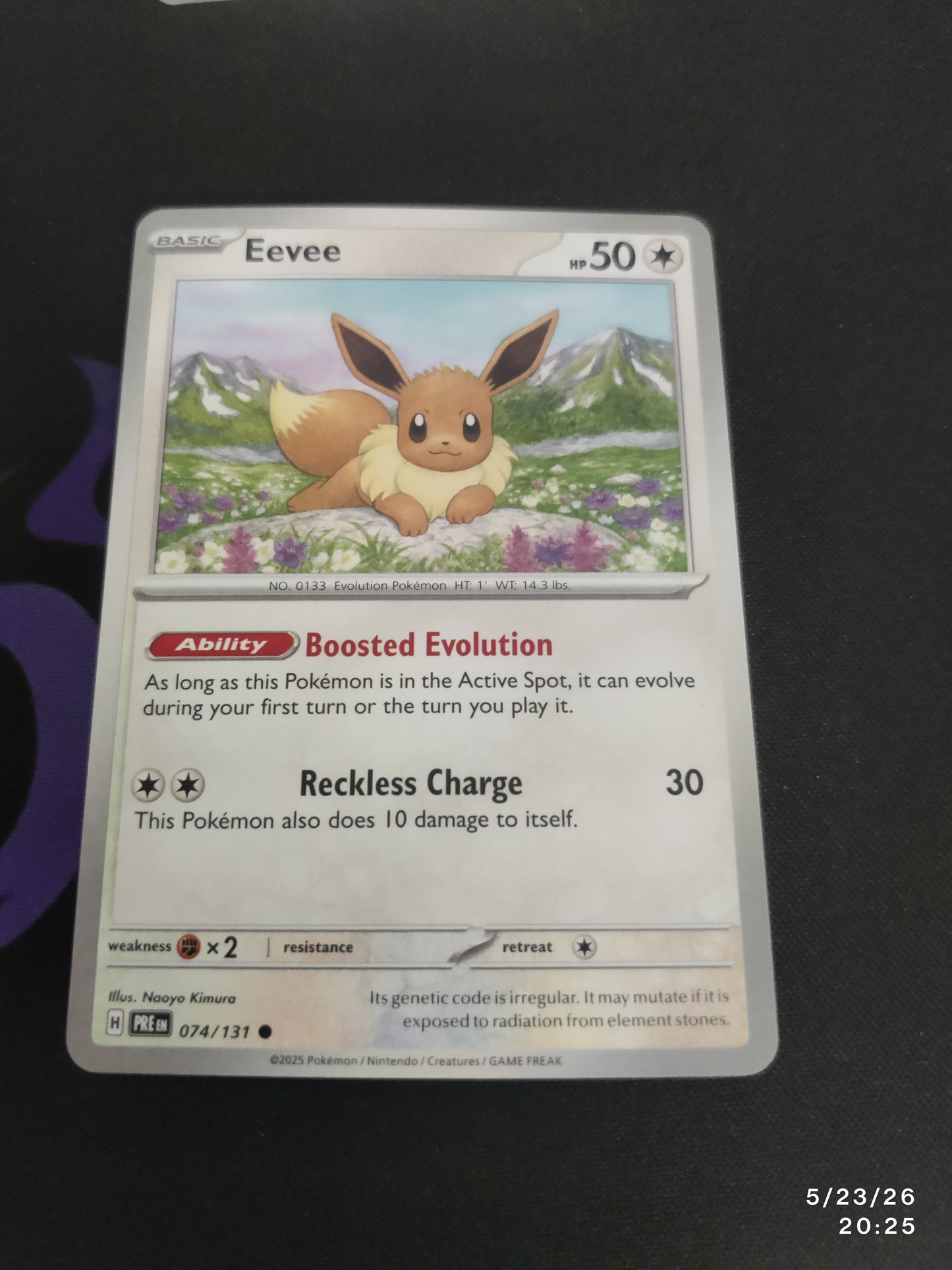 Eevee