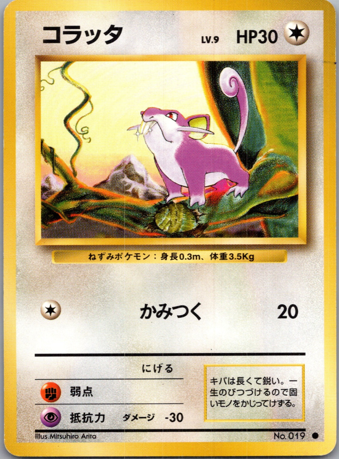 1996 Expansion Pack  Rattata Common  (JP) G6