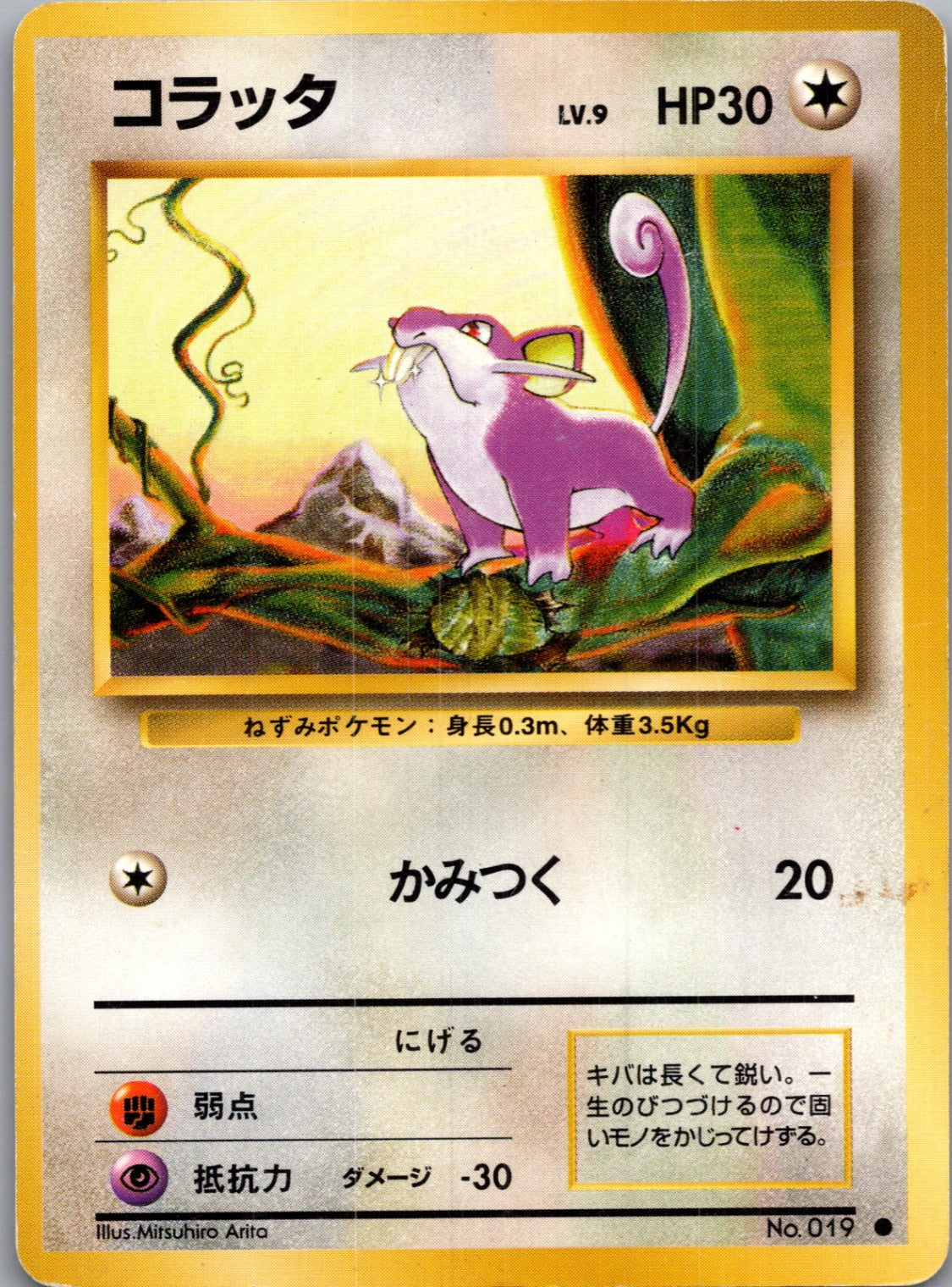 1996 Expansion Pack  Rattata Common  (JP) G1