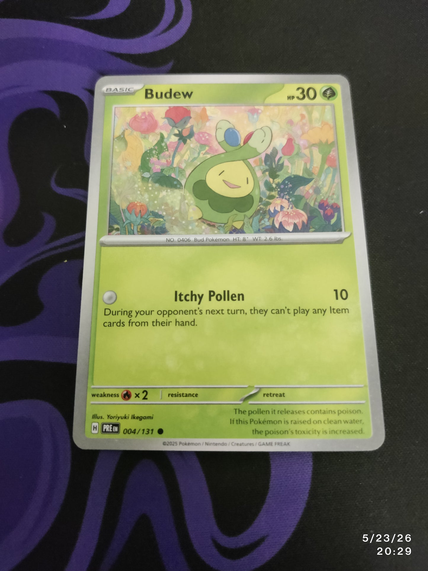 Budew