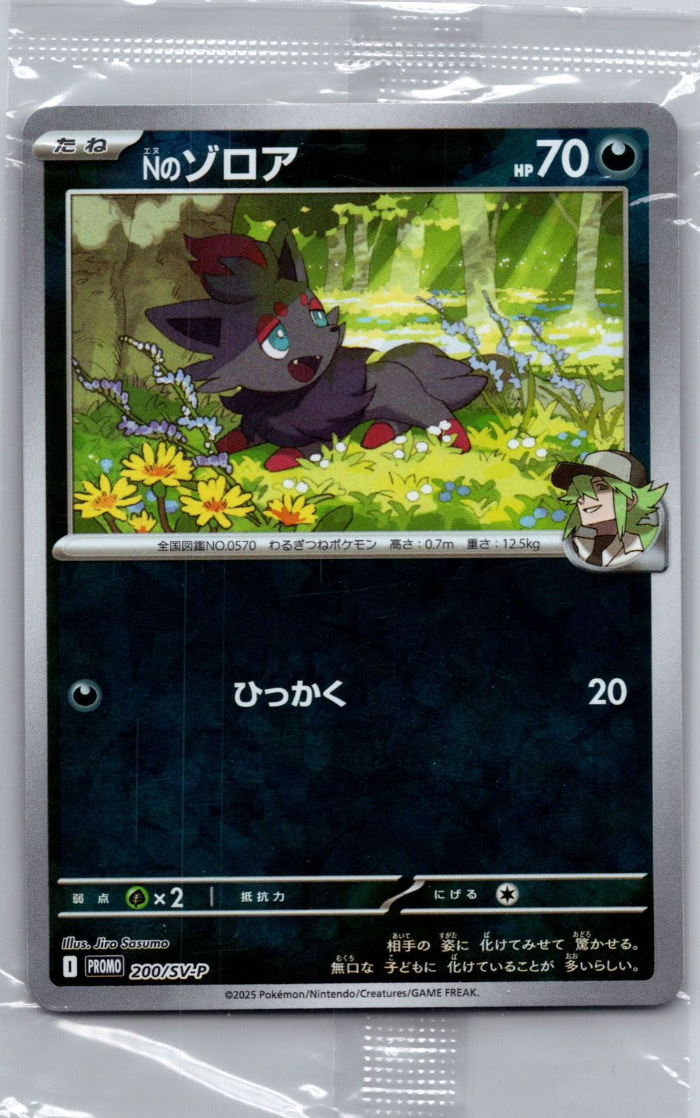 2024 SV5M: Cyber Judge 002/071 Pineco NM