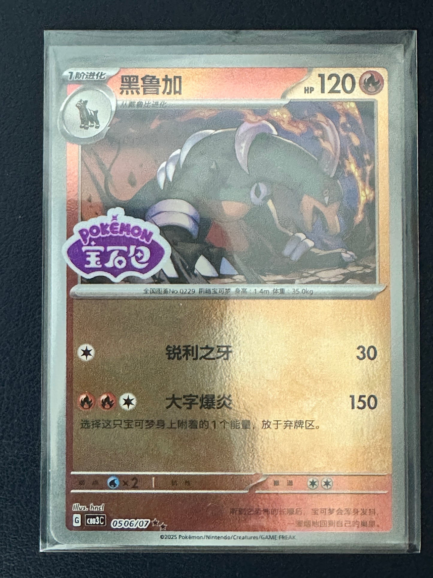 Houndoom [Stamped] #506