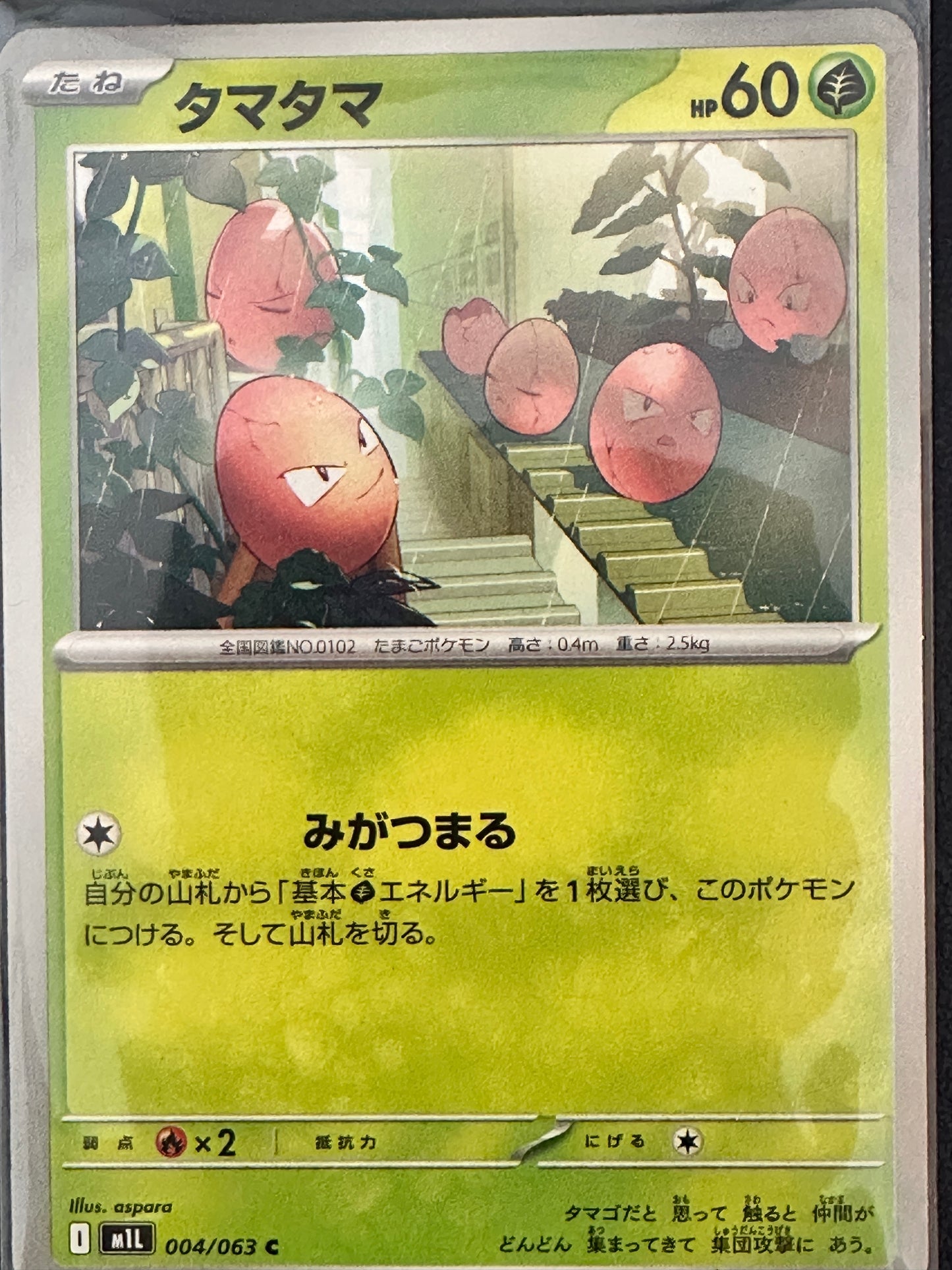 Exeggcute — 004/063 C | Stairway Mob (A1/03)