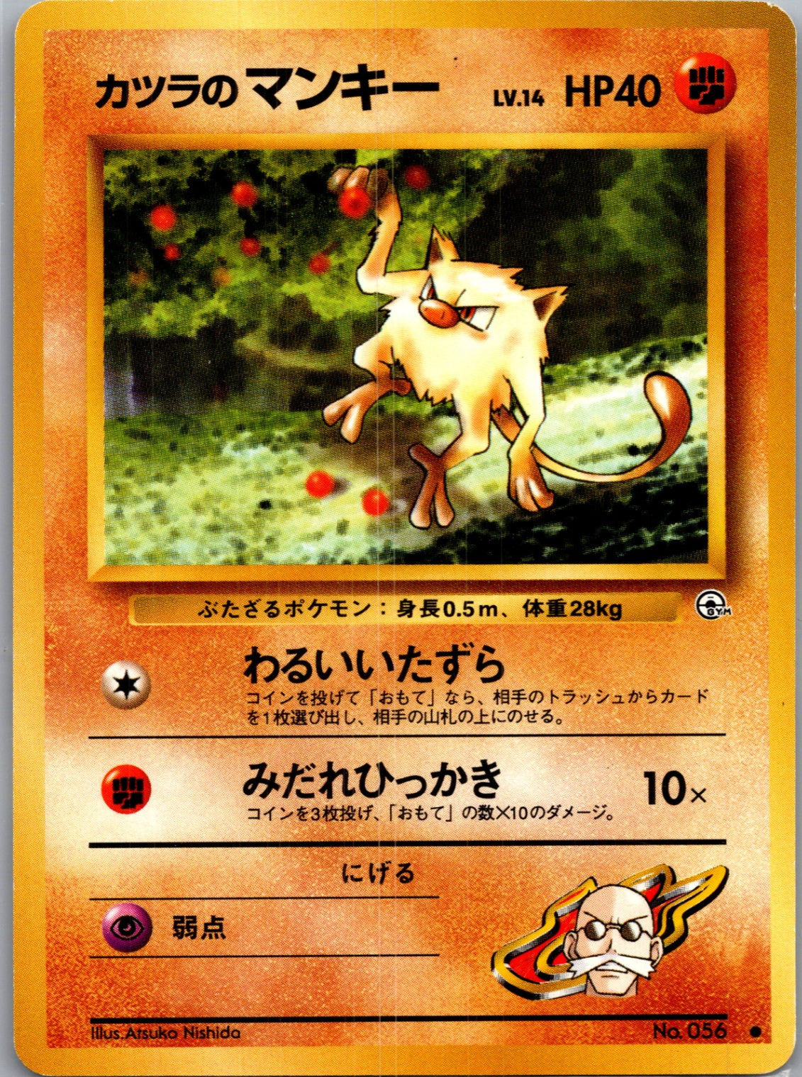 1999 Challenge from the Darkness  Blaine's Mankey Common  (JP) J247