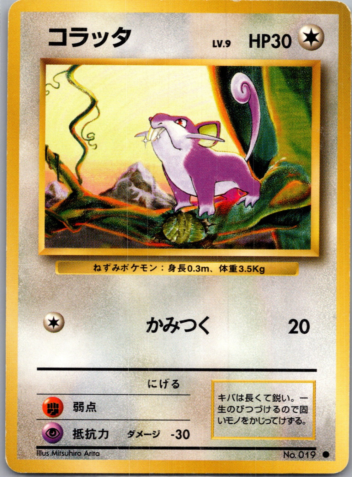 1996 Expansion Pack  Rattata Common  (JP) H360