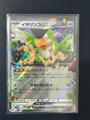Squawkabilly ex #65