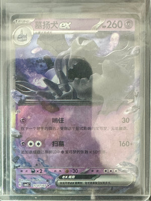 Houndstone ex #1707