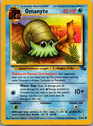 Fossil 52/62 Omanyte Common NM