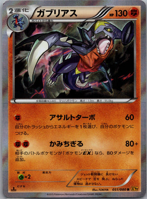 2015 Broken Heavens 051/080 Garchomp [1st Edition] Holo Rare G250