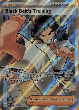 Black Belt's Training #255 Full Art