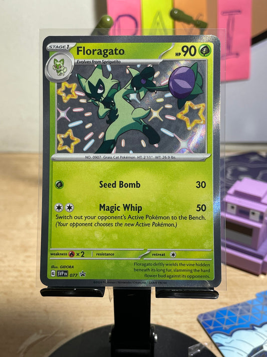 2024 Floragato #77 SV Promo