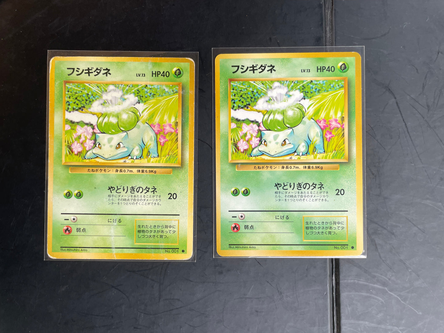 1996 Bulbasaur #1 Base Expansion (JP)