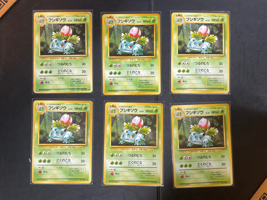 1996 Ivysuar #2 Base Expansion (JP)