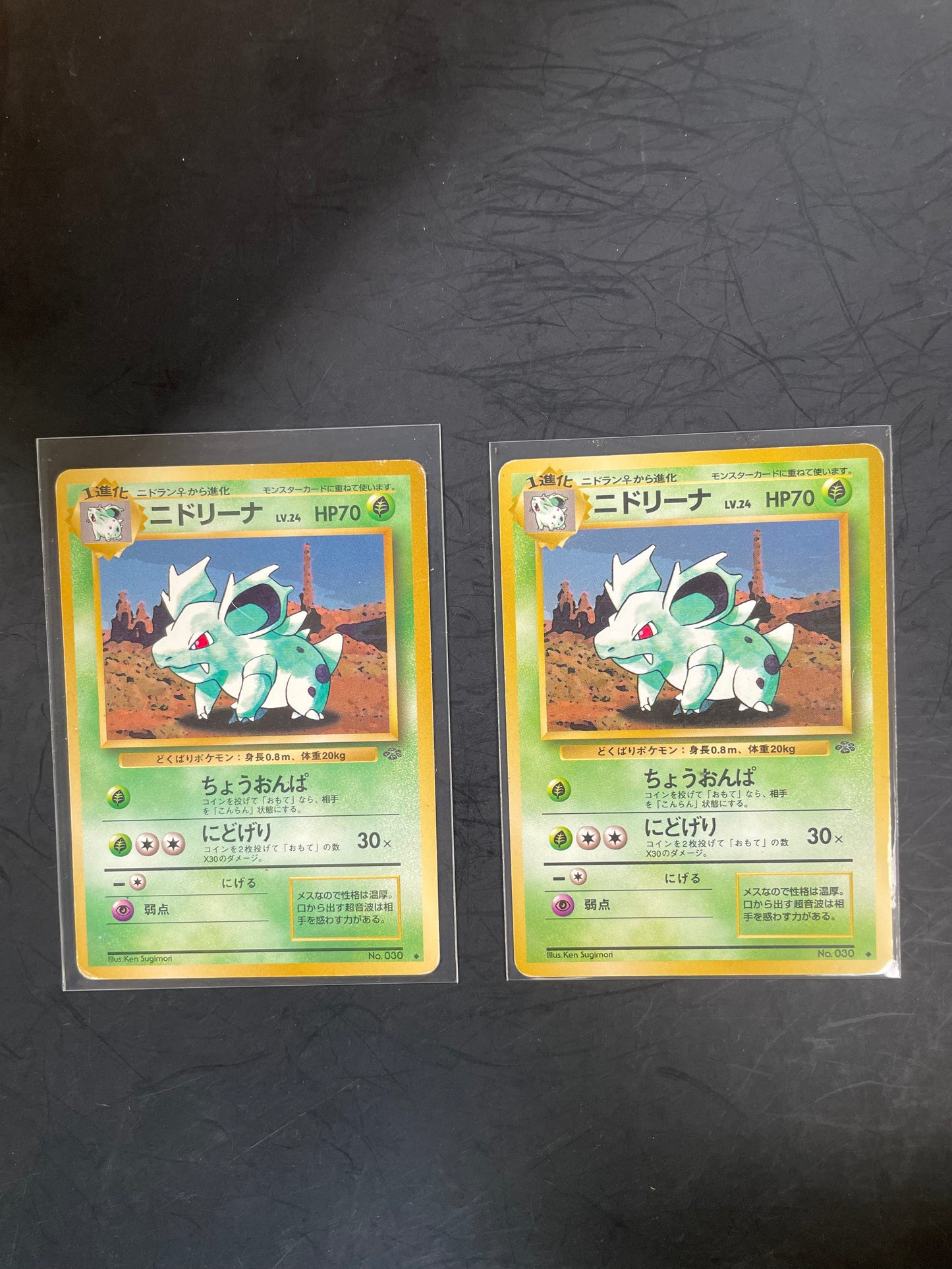 1996 Nidorina #91 Jungle (JP)