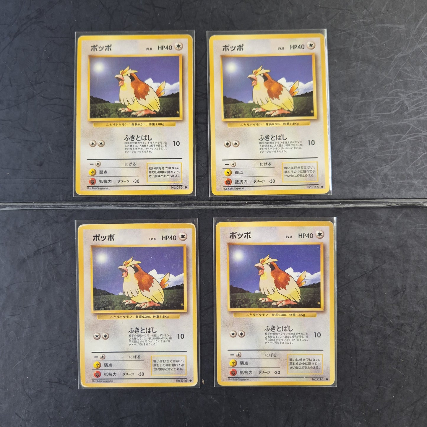 1996 Pidgey #16 Base Expansion (JP)