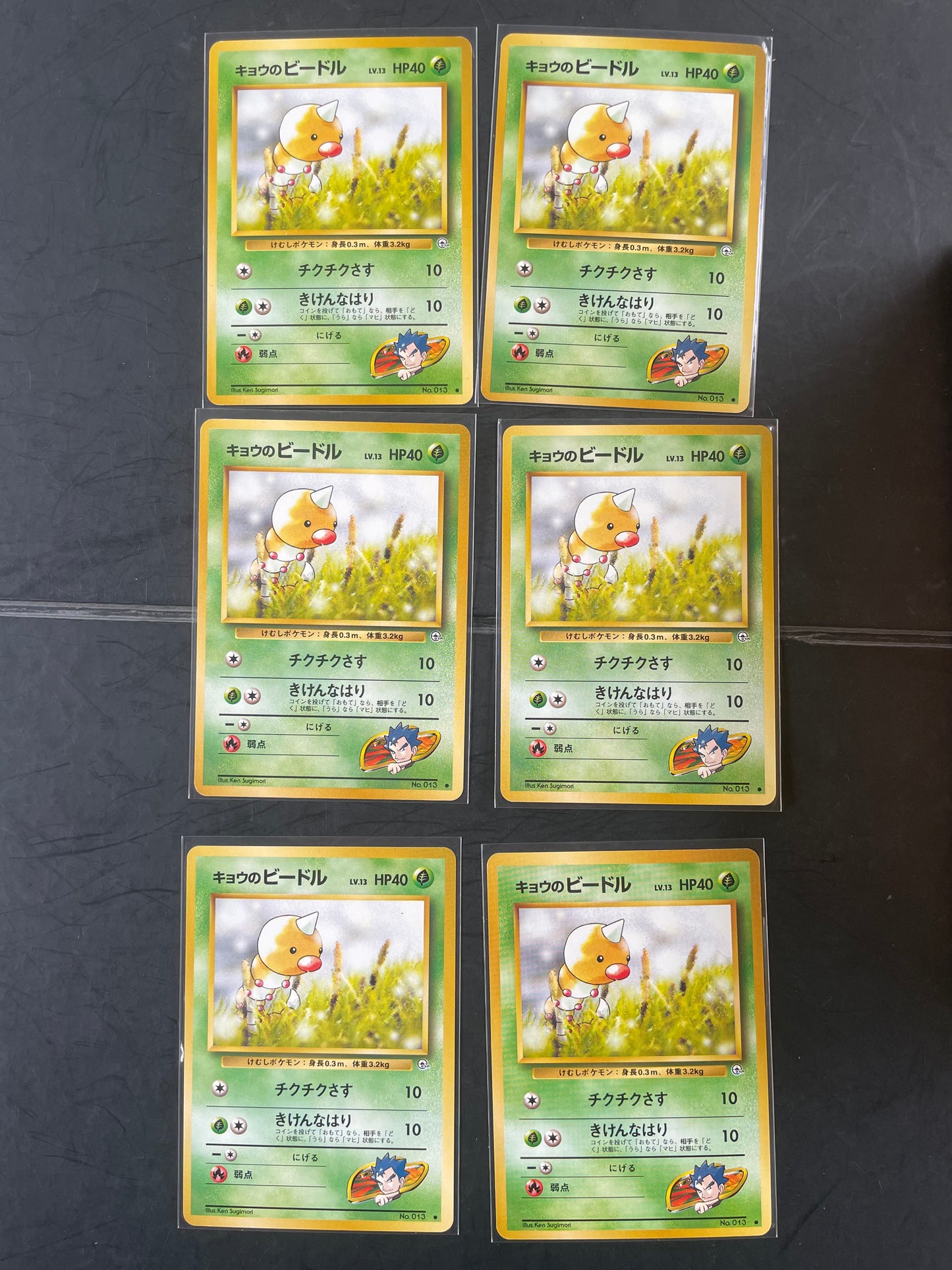 1999 Koga's Weedle #13 Gym (JP)
