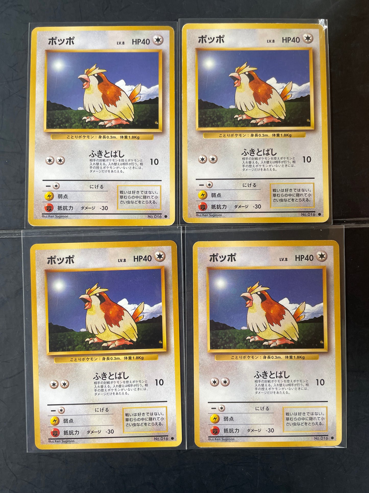 1996 Pidgey #16 Base Expansion (JP)