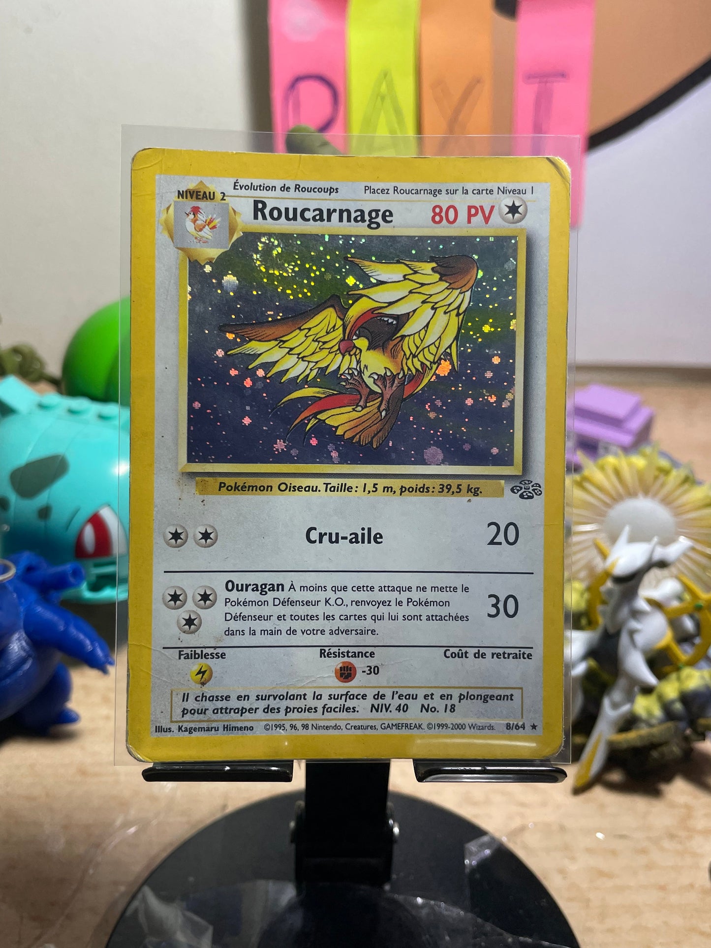 2000 Pidgeot/Roucarnage #8 Jungle (French) []