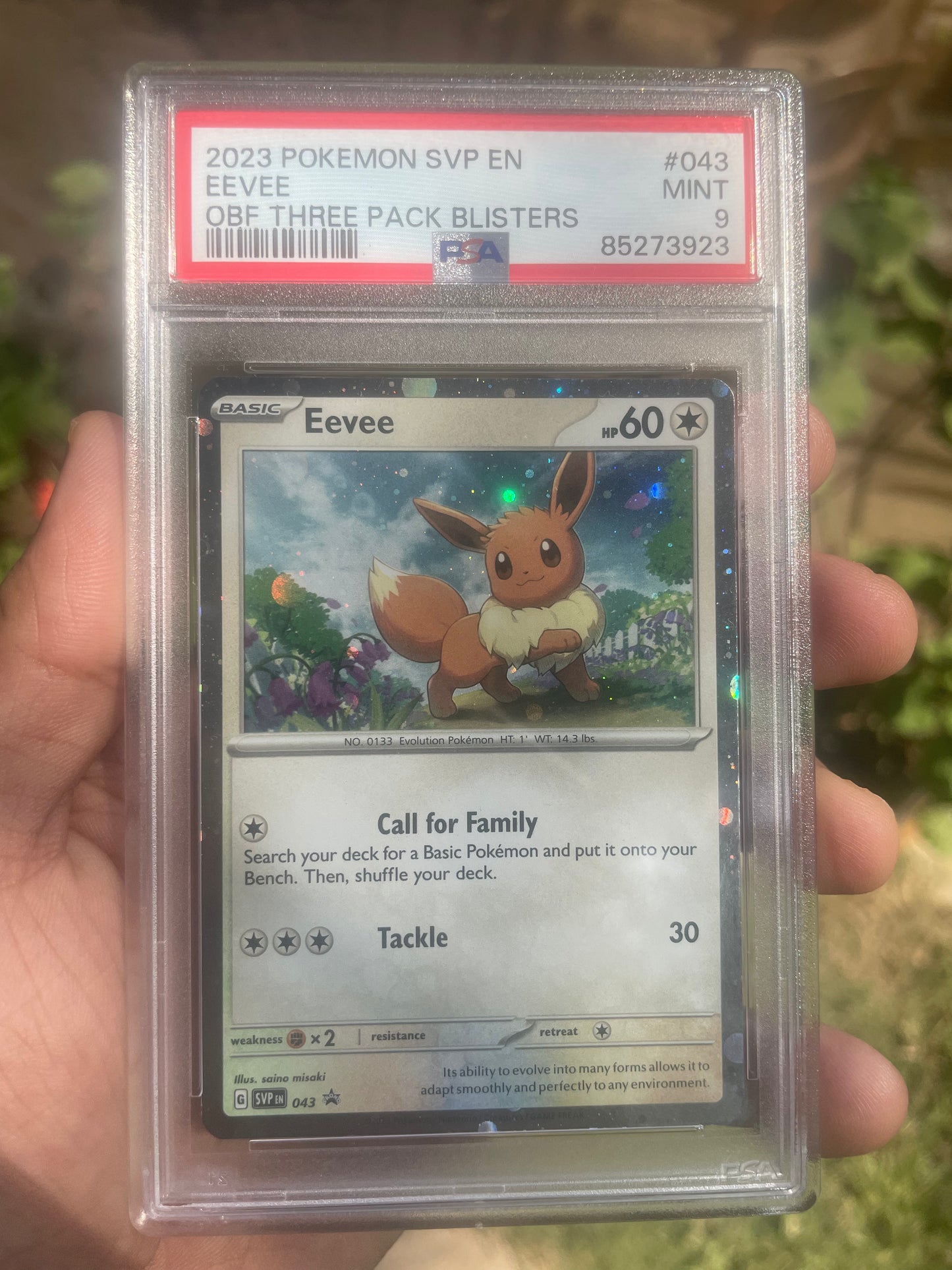 (PSA 9) 2022 SV Promo 43 Eevee Obsidian Blister