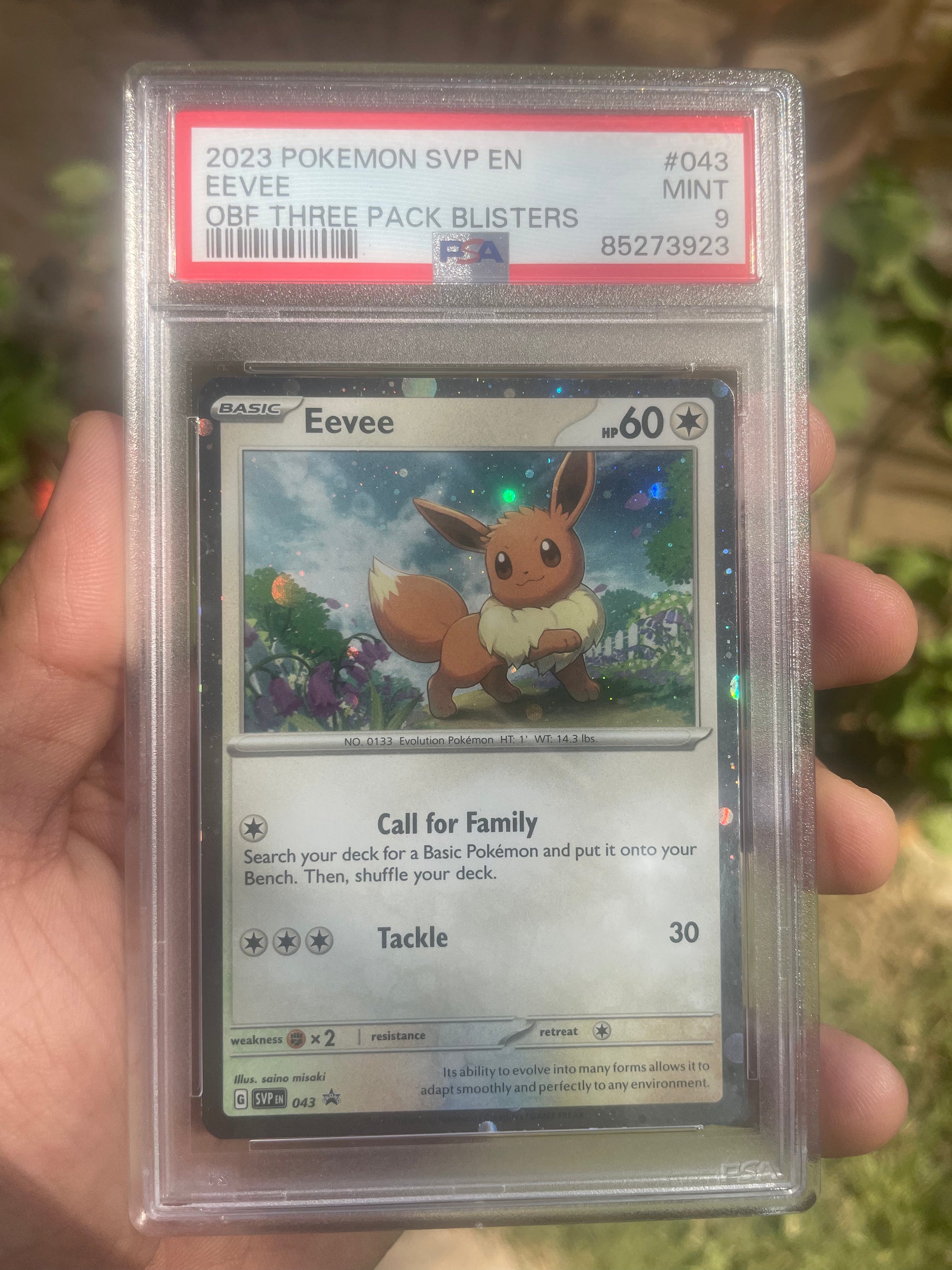 (PSA 9) 2022 SV Promo 43 Eevee Obsidian Blister