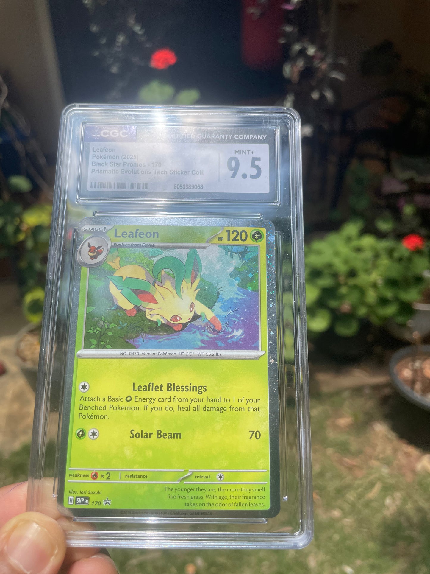 (CGC 9.5) 2025 Promo 170 Leafeon