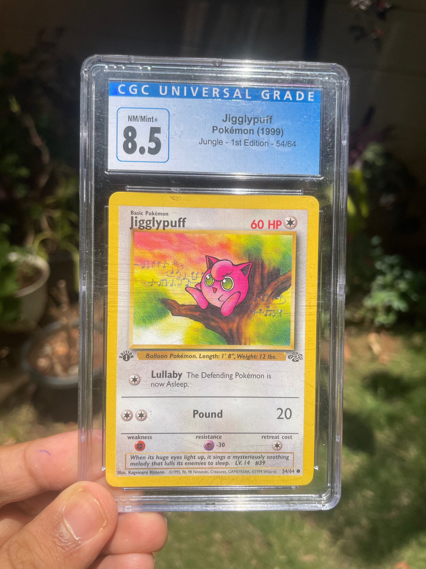 (CGC 8.5) Jungle [1st Edition] 54 Jungle [Scratchy Slab]