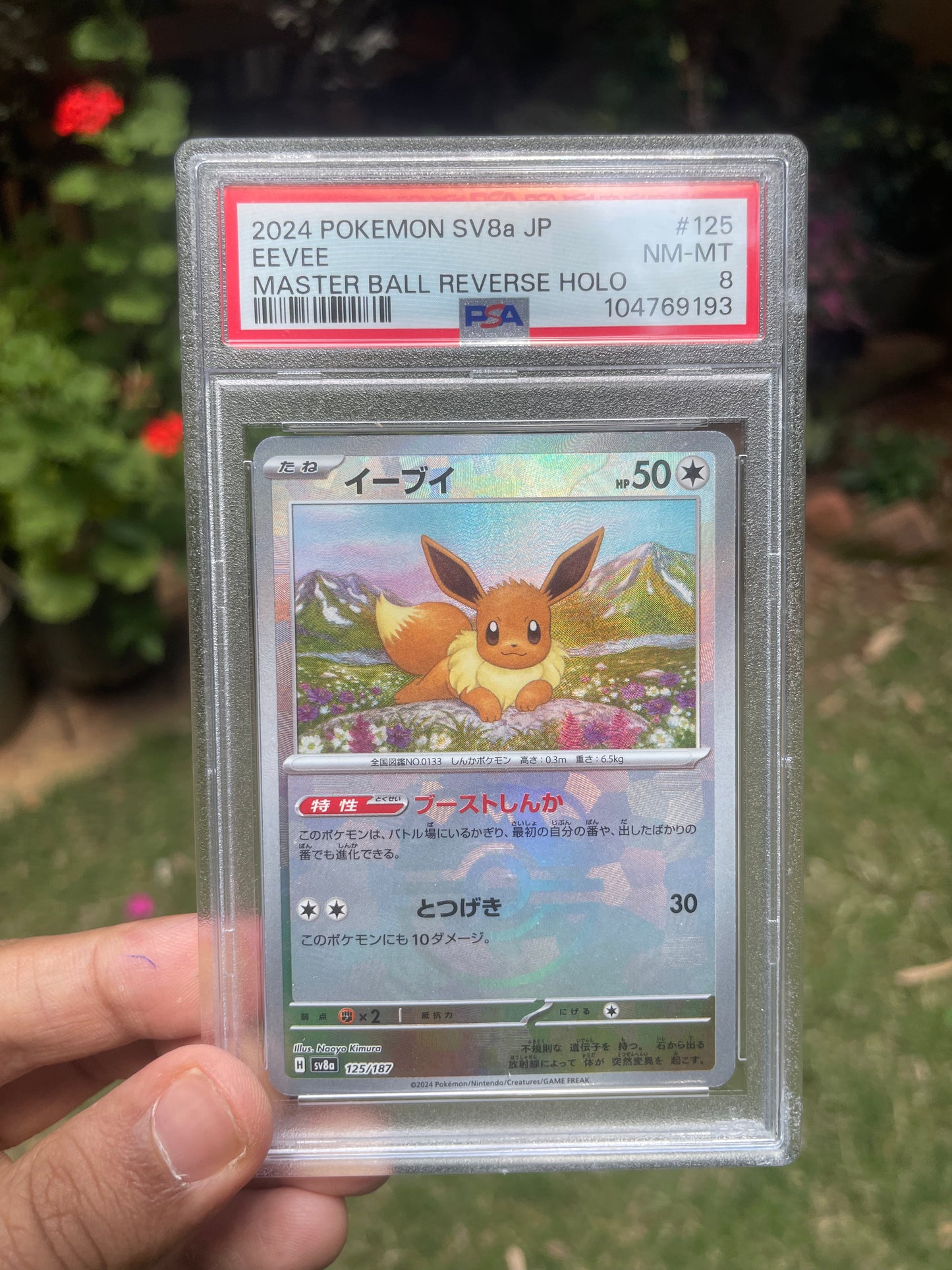 (PSA 8) 2024 Terastal Fest 125 Eevee [Master Ball] [JP]