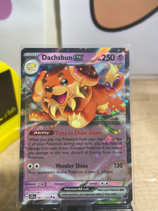 2024 Dachsbun ex #67 Stellar Crown