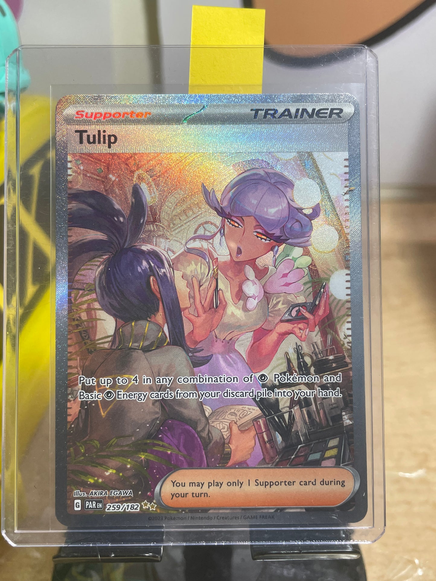 2023 Tulip #259 Paradox Rift
