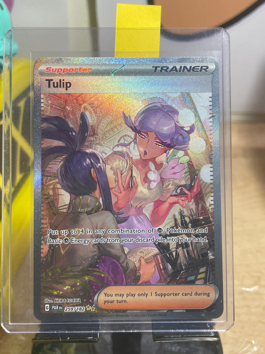 2023 Tulip #259 Paradox Rift